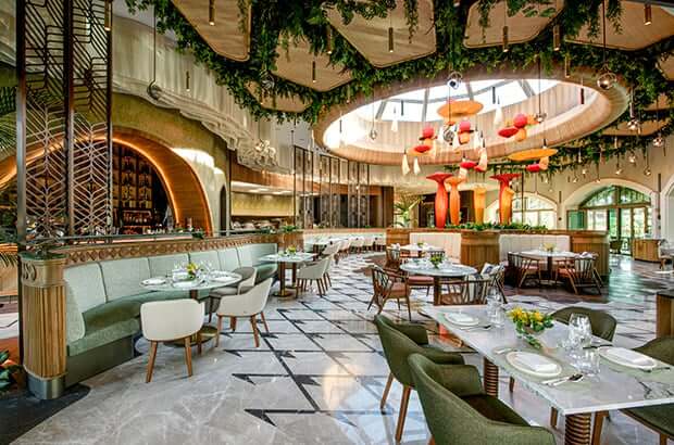 Regnumcarya Maia Peruvian Restaurant Card