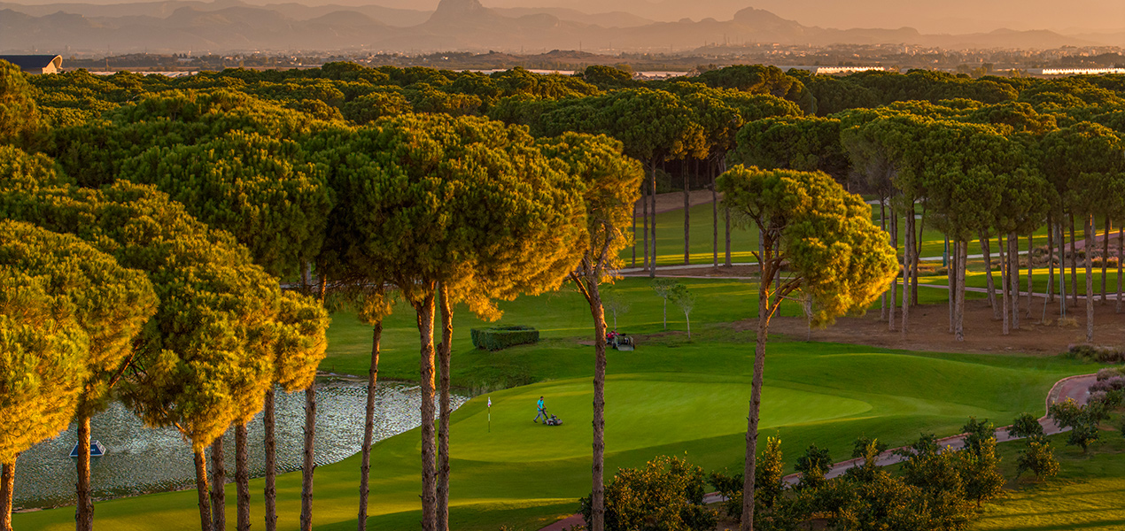 Regnumcarya Carya Golf Club 29 Slider