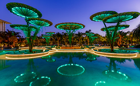 Greenbar Regnumcarya Card