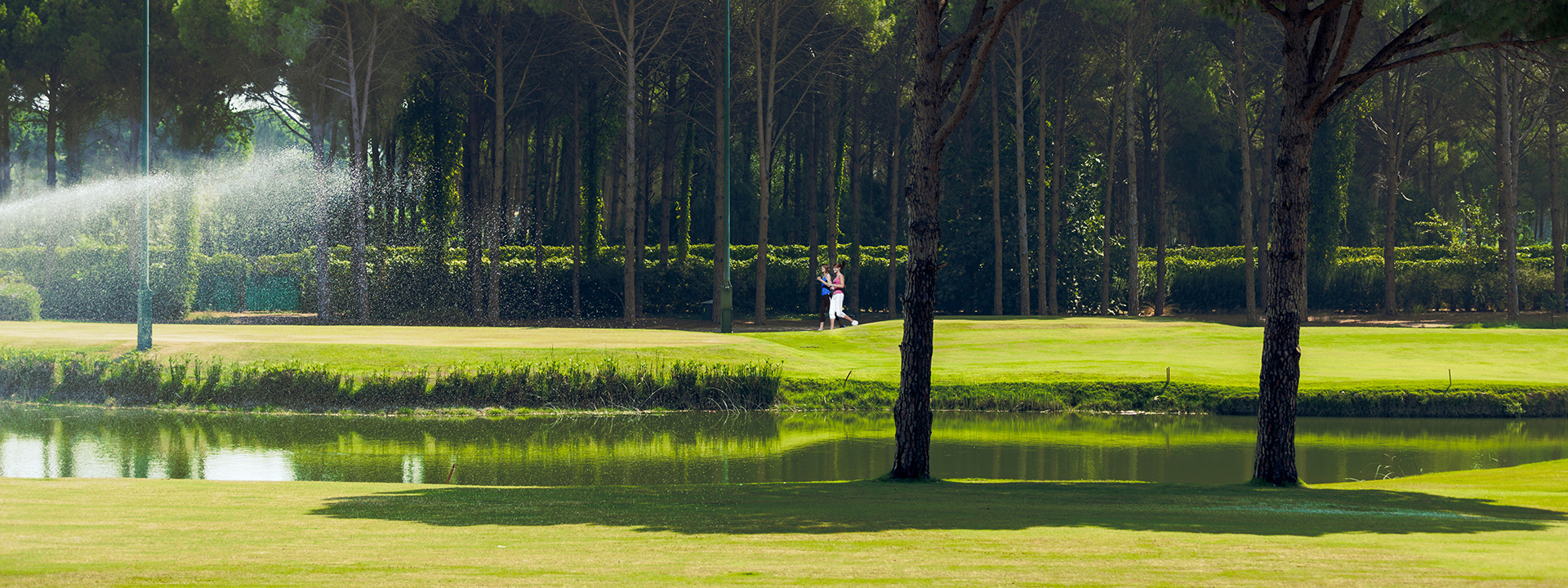 Regnumcarya Walkingpath 01 Banner