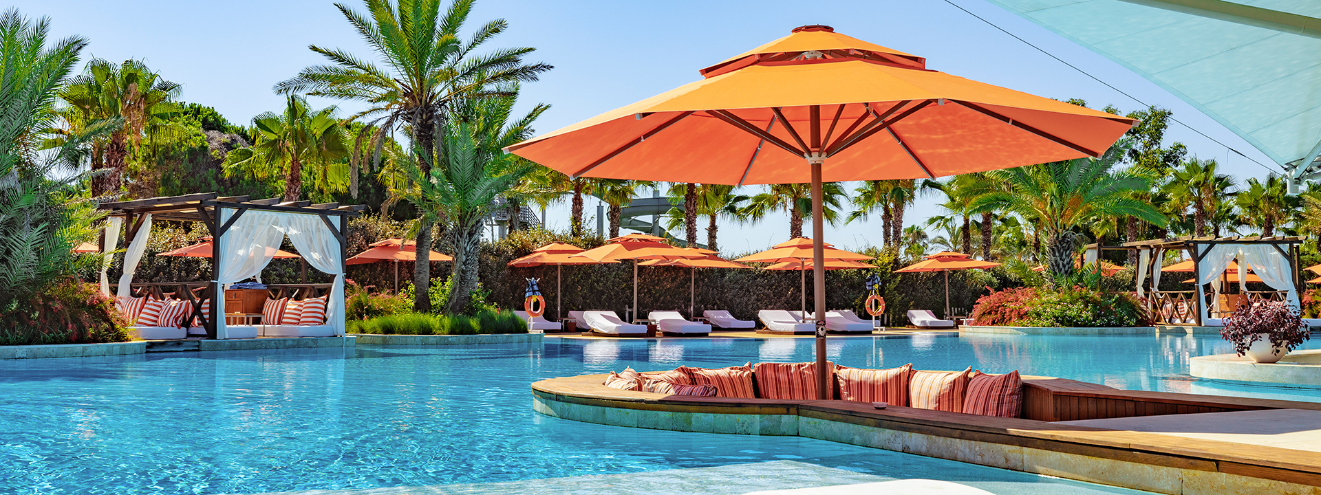 Regnumcarya Adultpool Banner