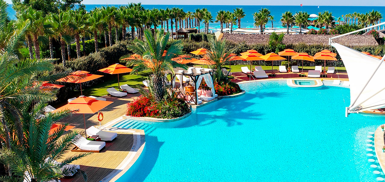 Adult Pool 40 Regnumcarya