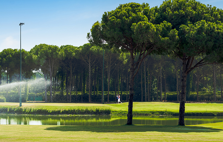 Regnumcarya Walkingpath 01 Card