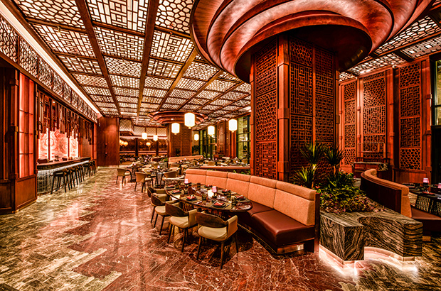 REGNUM THE CROWN YANJI Card